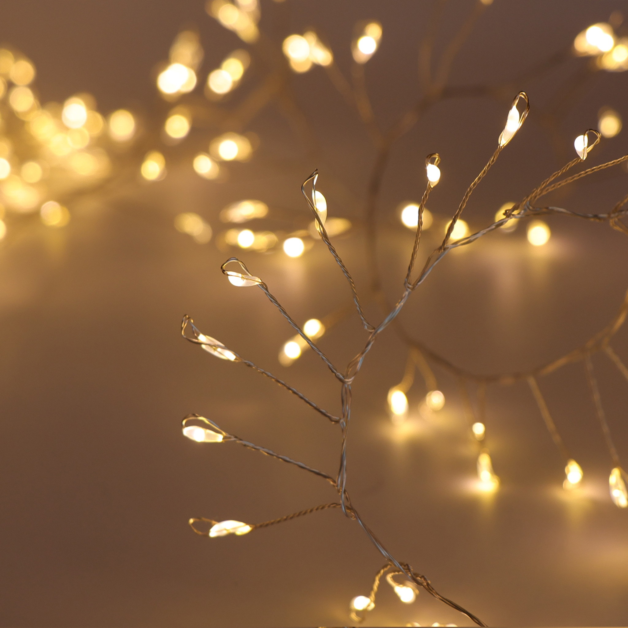 Firecracker Lights